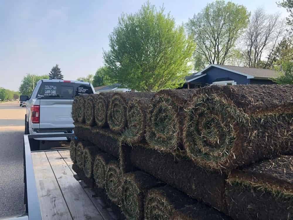 Sod Installation  image
