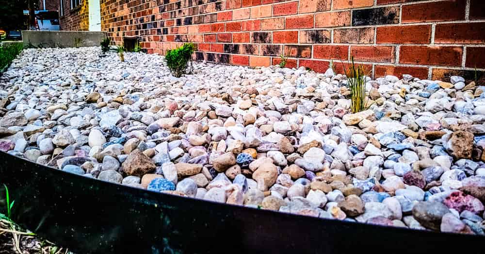 Decorative Rock Design   image