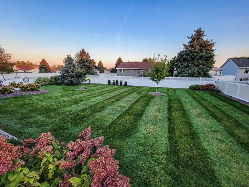 Weekly Lawn Maintenance image