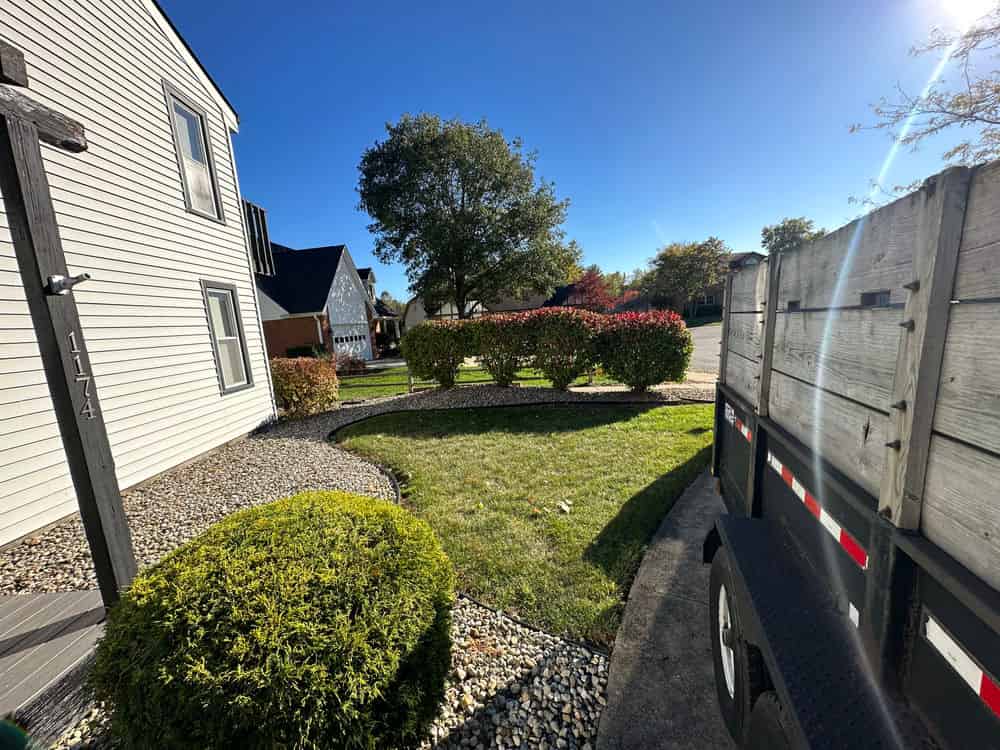 Bush & Small Tree Trimming   image