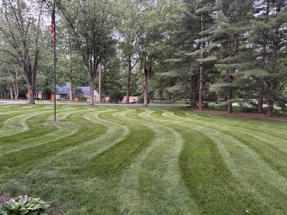 Weekly Lawn Maintenance image