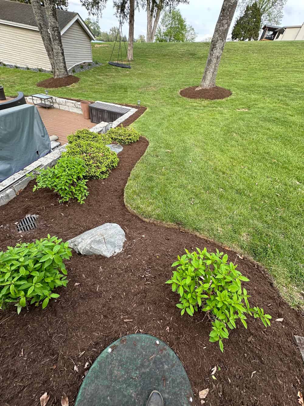 Sod Installation  image