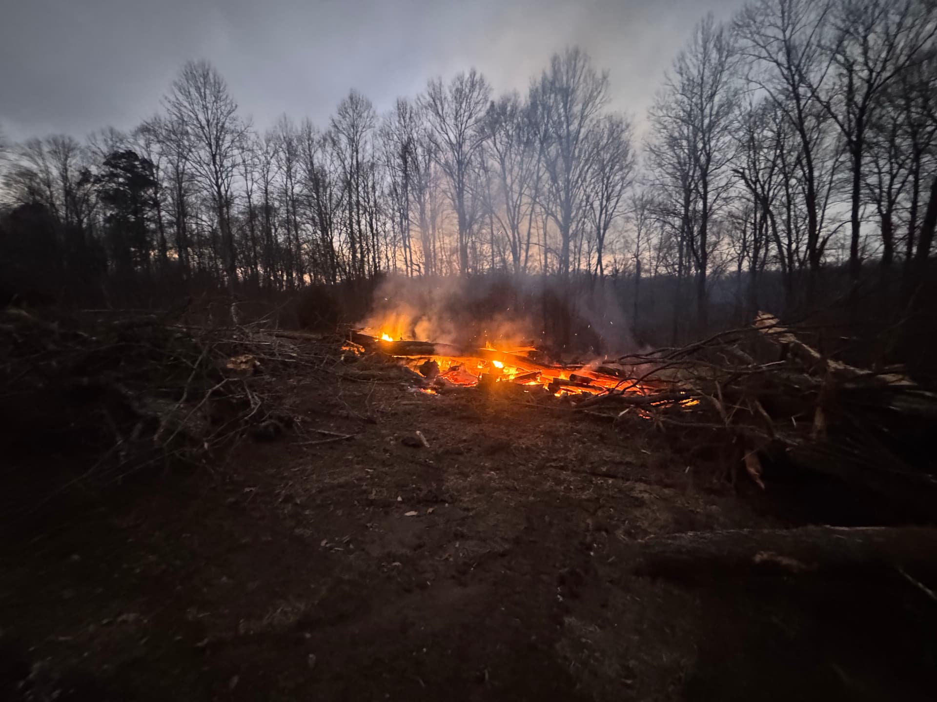 Gallery photos for Elevate Your Property with RJ's Lawn Care: Image #7