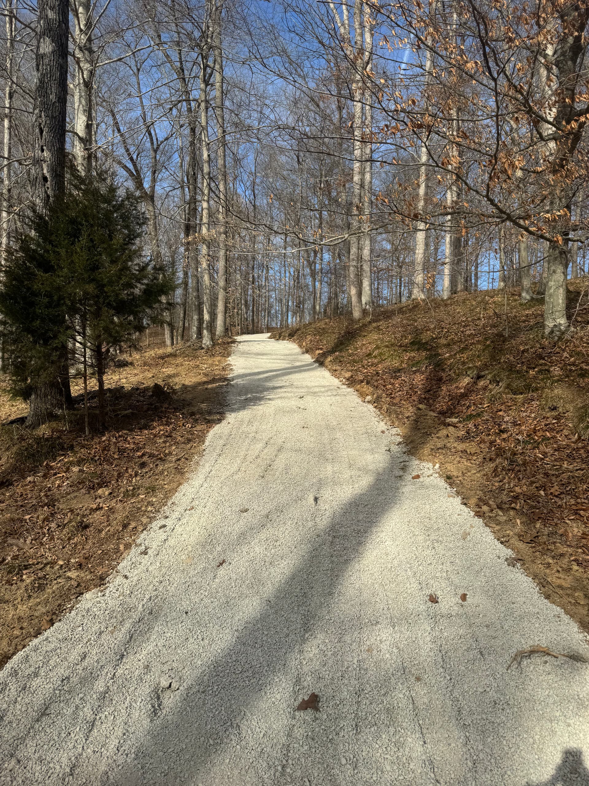Gravel Path Construction in a Wooded Area