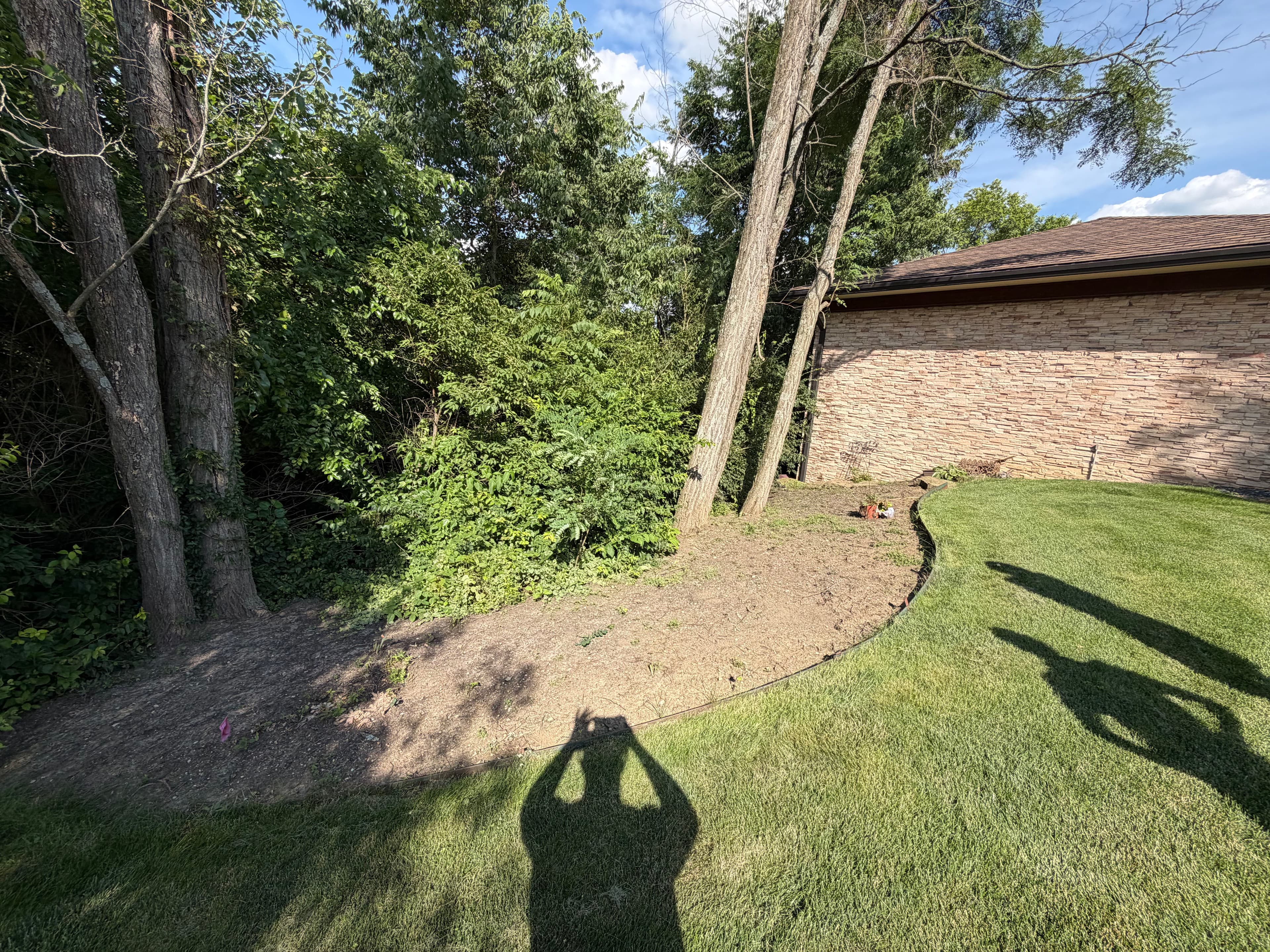 Project Weed-Choked Backyard Gets a Full Fescue Sod Reset image
