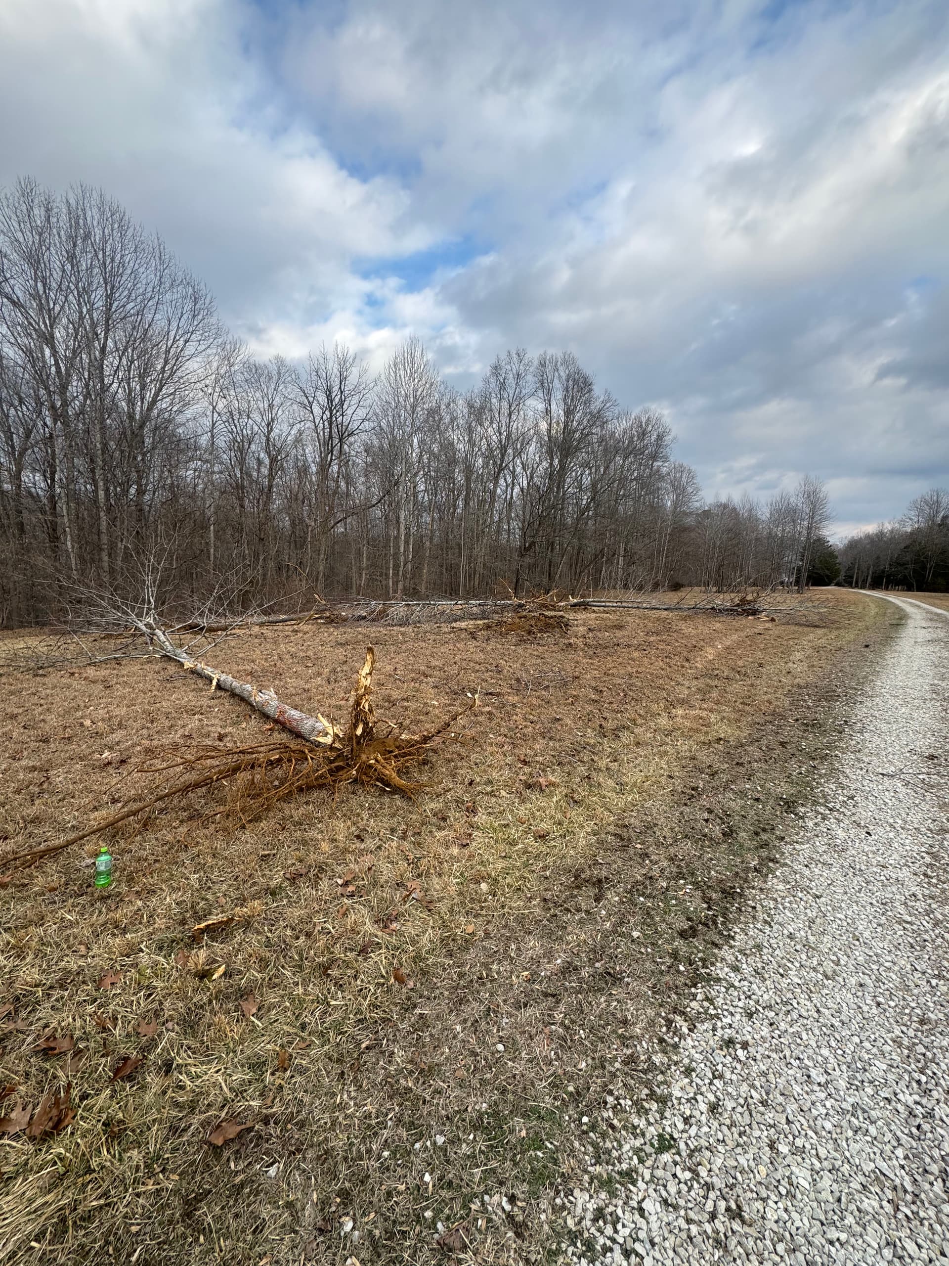 Elevate Your Property with RJ's Lawn Care