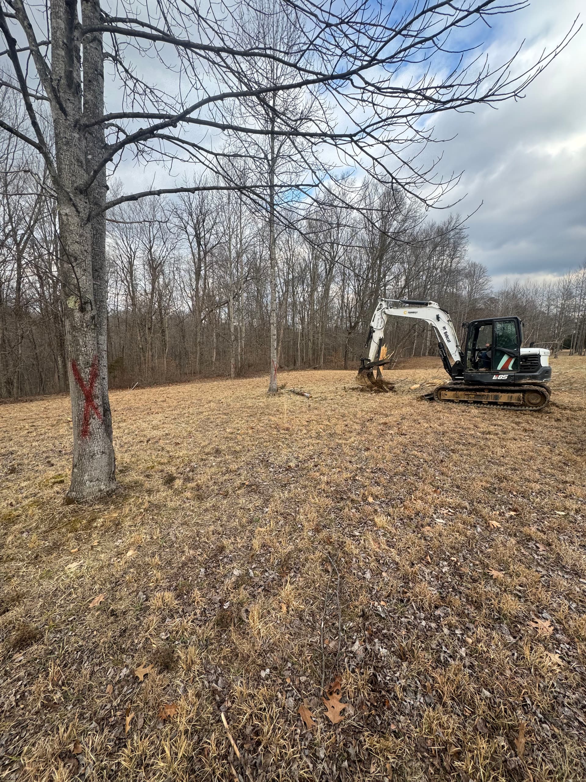 Elevate Your Property with RJ's Lawn Care