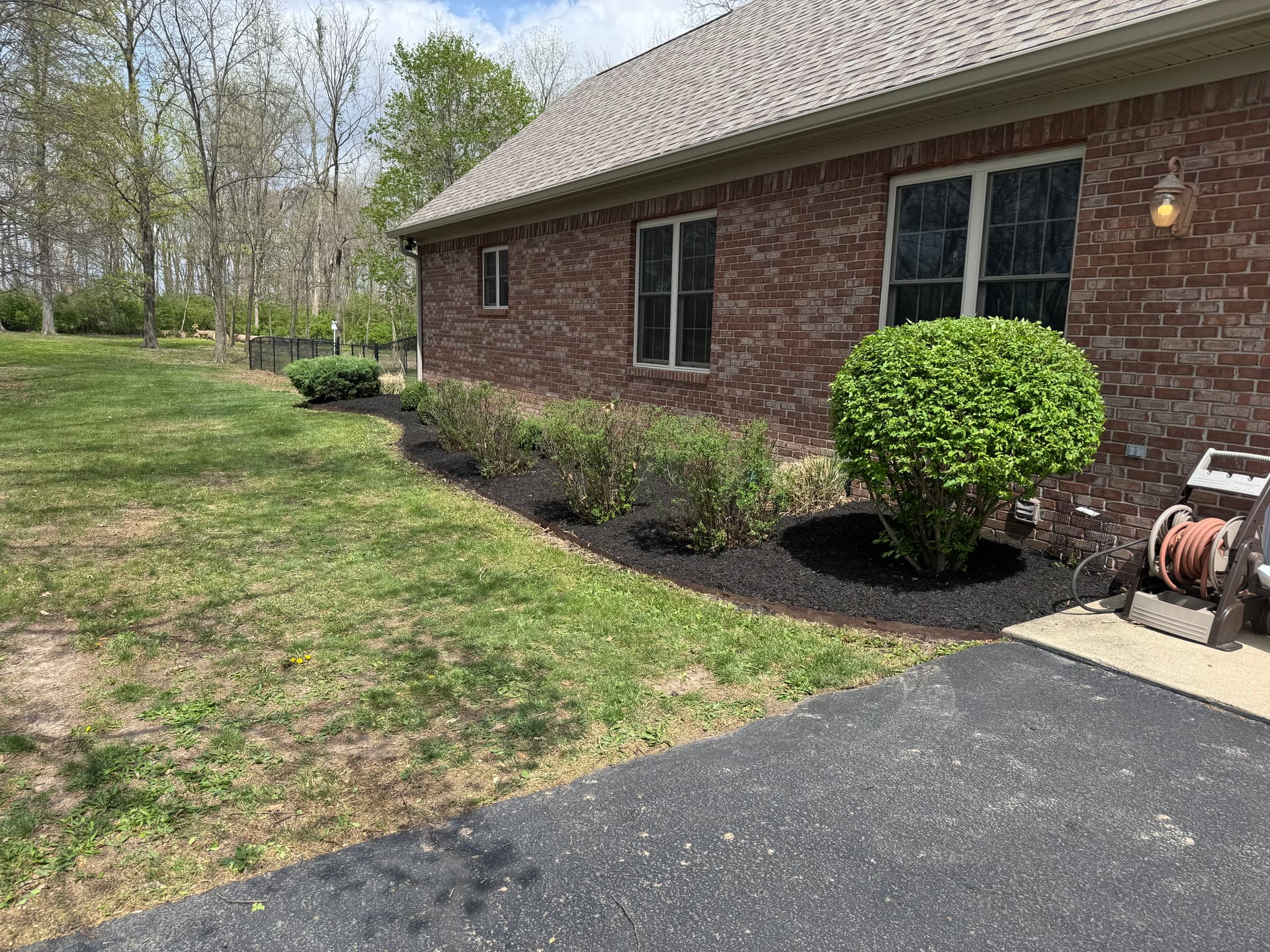 Gallery photos for Full Yard Cleanup With Fresh Mulch and Paver Repairs: Image #3