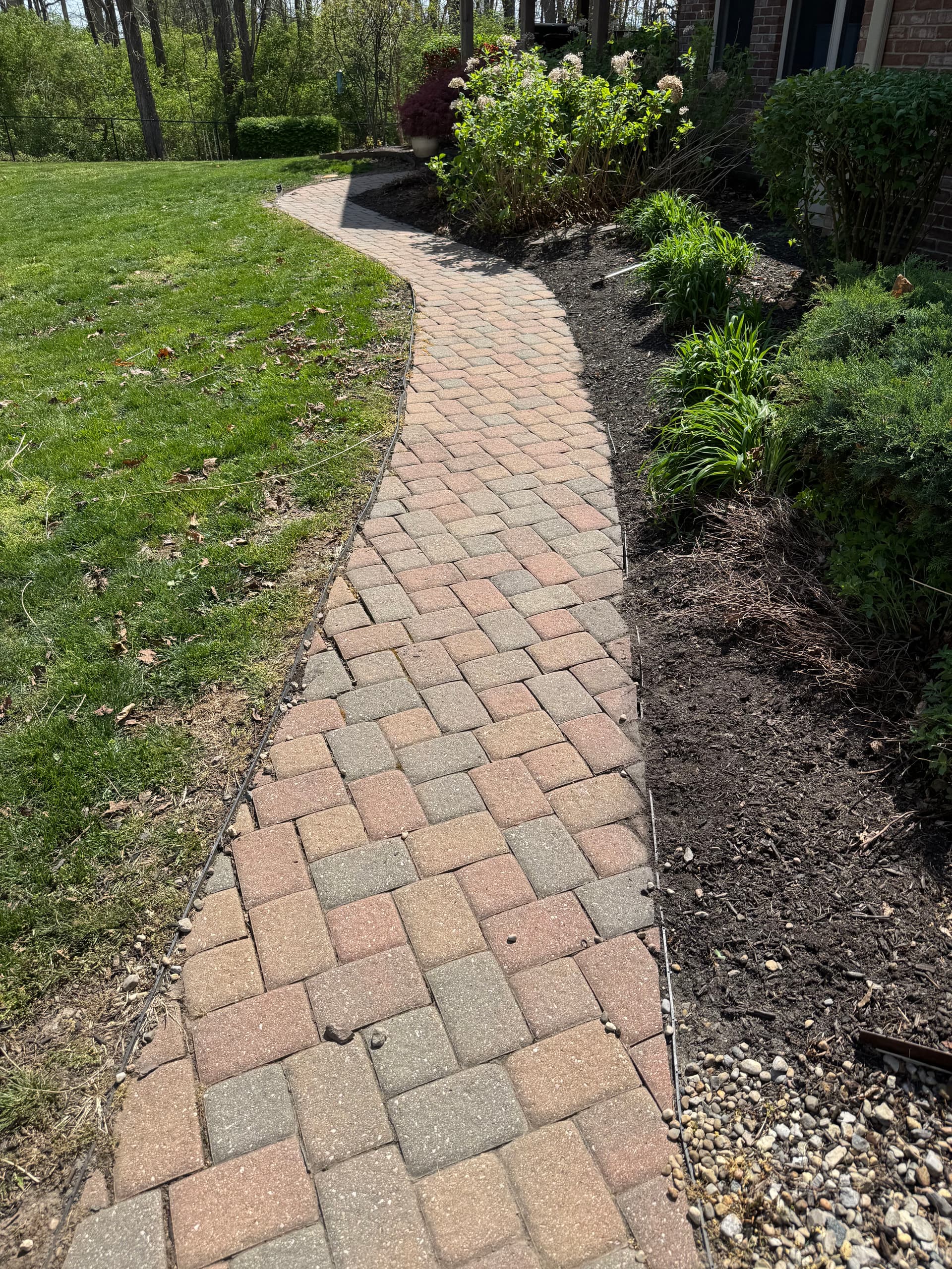Gallery photos for Full Yard Cleanup With Fresh Mulch and Paver Repairs: Image #8