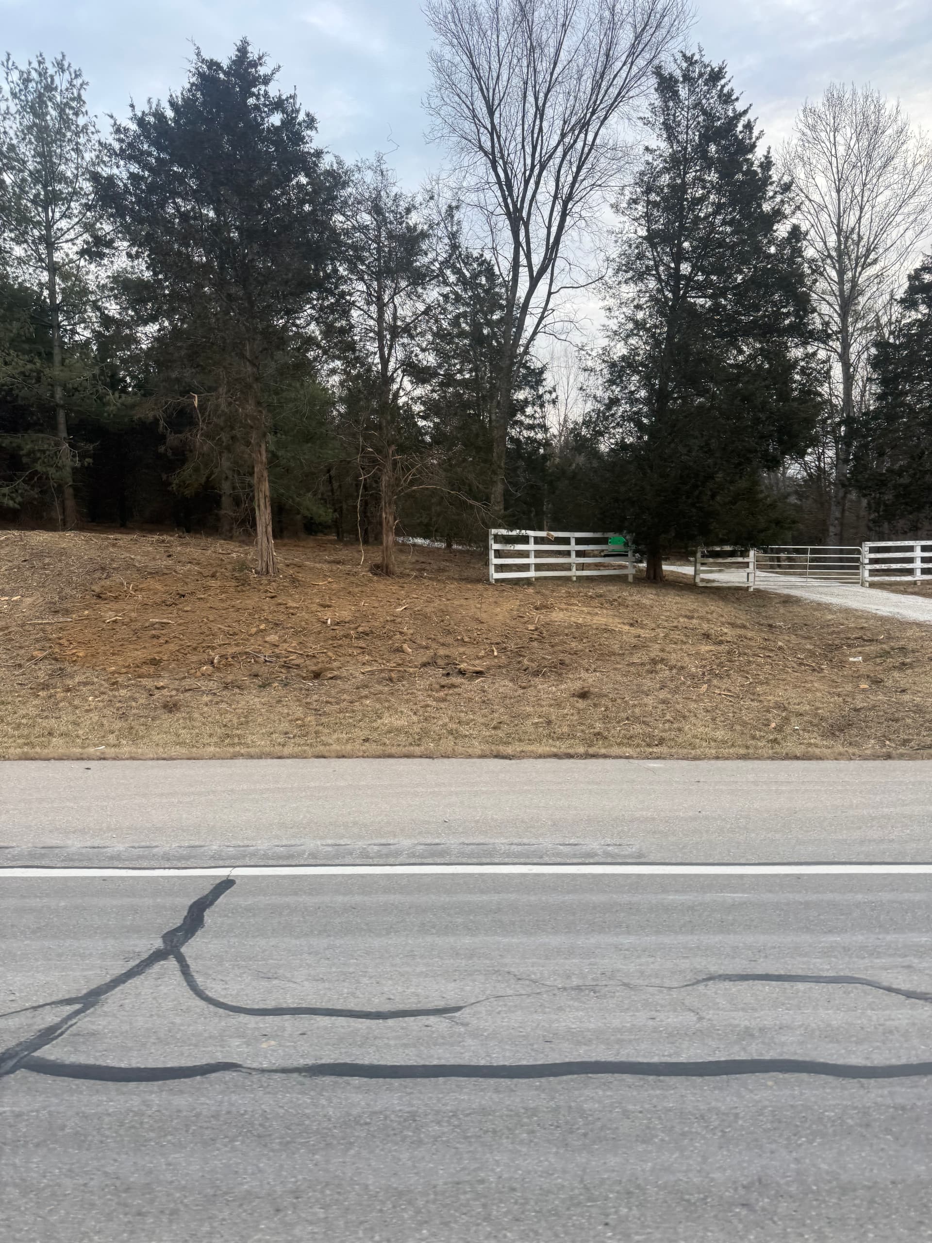 Elevate Your Property with RJ's Lawn Care