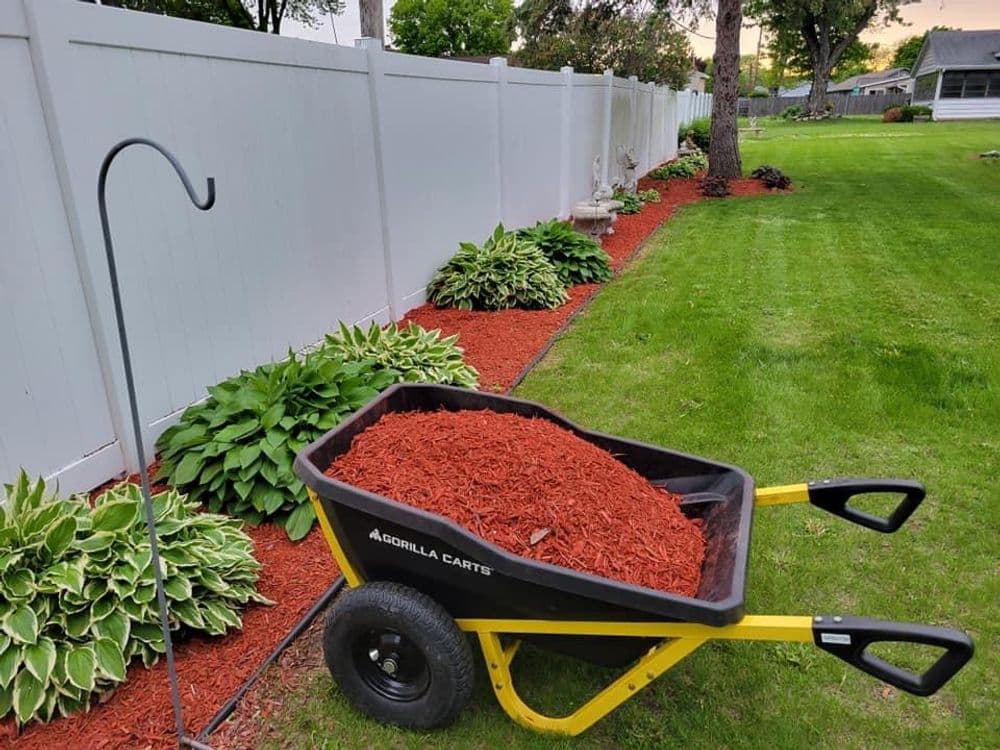 Wheelbarrow filled with red mulch in a landscaped garden with a white fence and plants.