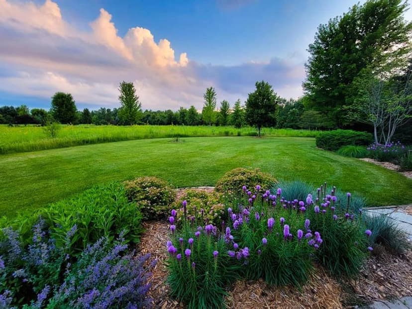 Expert Hardscaping Solutions's image