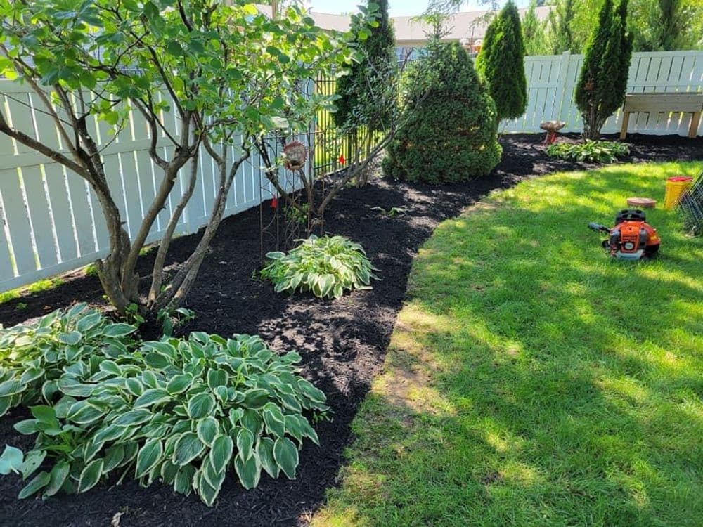 Lush garden beds with hostas, trees, and manicured lawn bordered by a white fence.