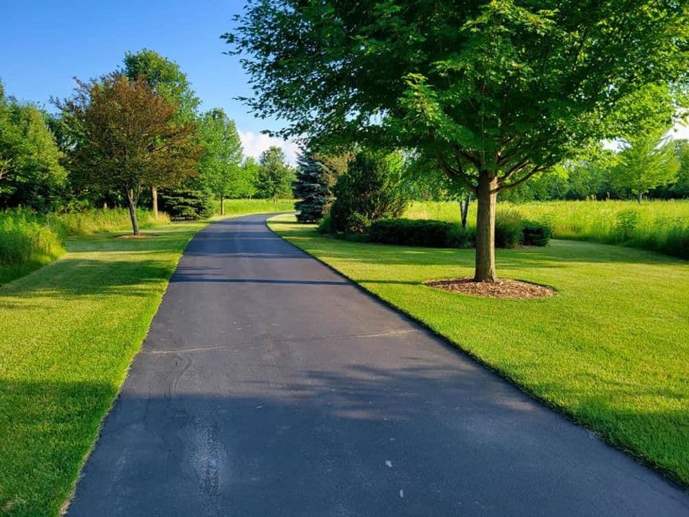 Scenic pathway surrounded by lush greenery and trees on a sunny day.