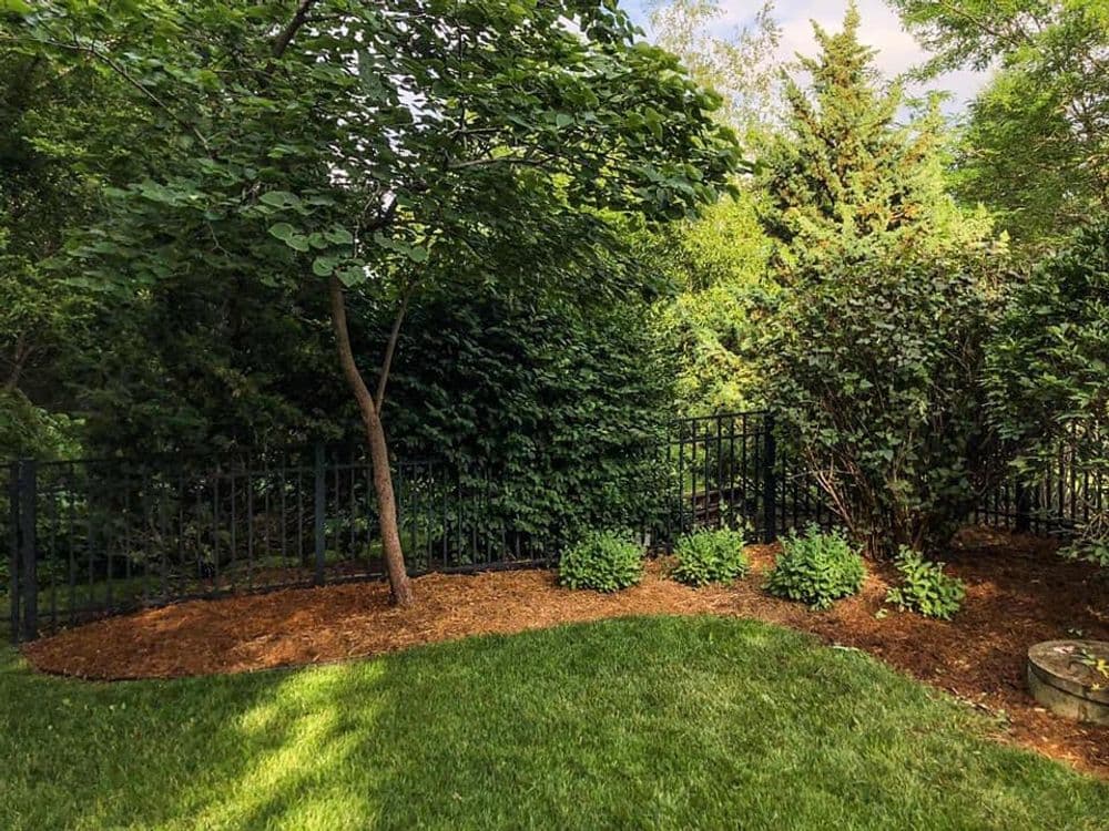 Lush green garden with trees, shrubs, and a black fence under a blue sky.