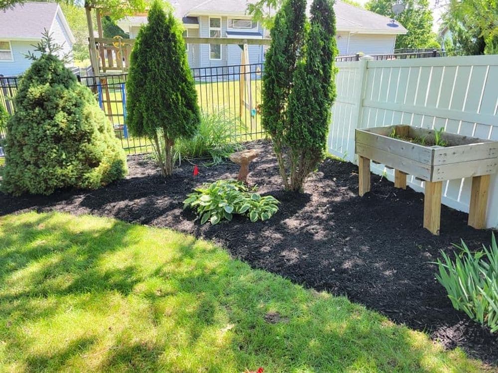Lush garden featuring evergreen trees, hostas, and raised vegetable bed surrounded by a white fence.
