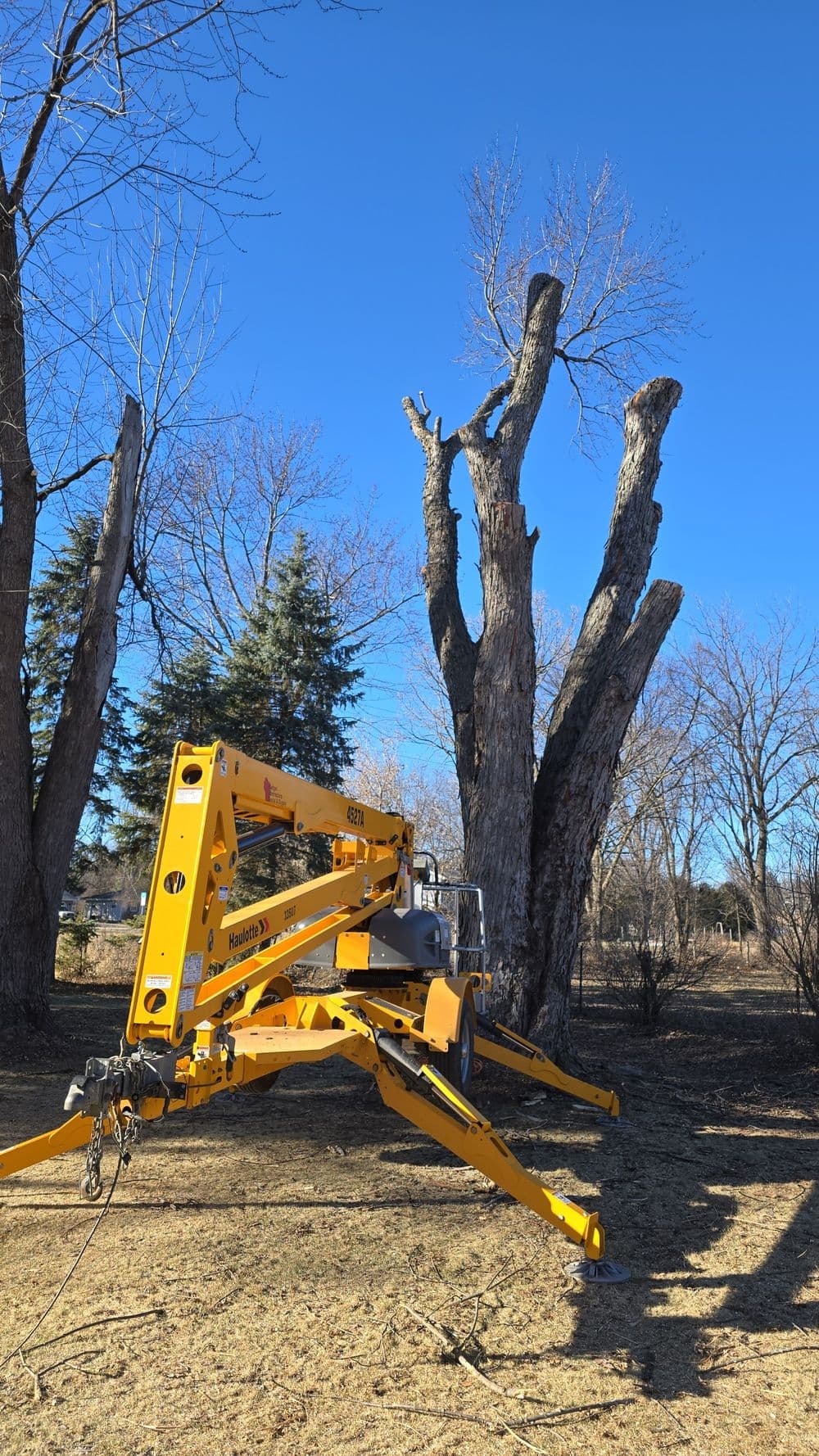 Yellow tree cutting lift near a tall, bare tree against a clear blue sky.