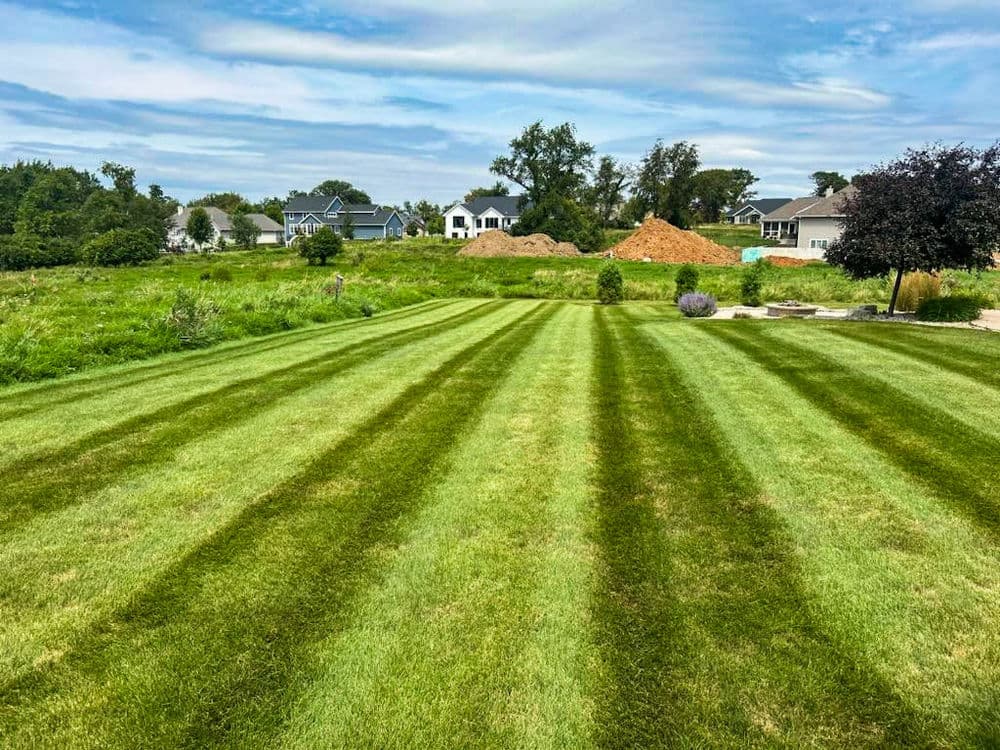 Lush green striped lawn with homes and construction site in the background under a clear sky.