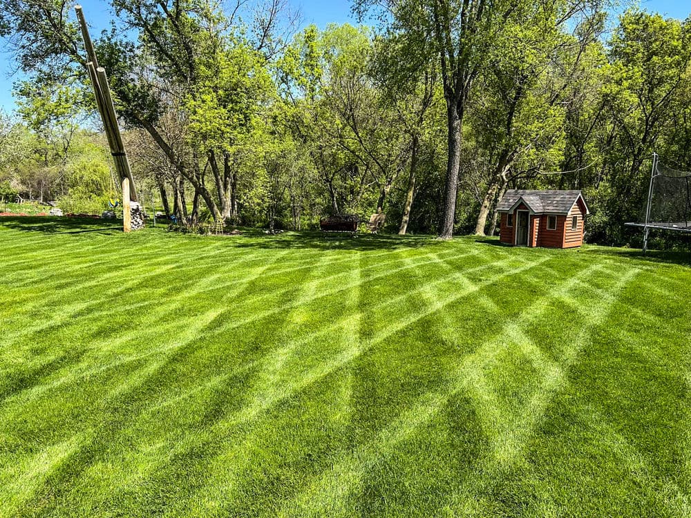 Lush green lawn with striped mowing patterns and a playhouse among trees.