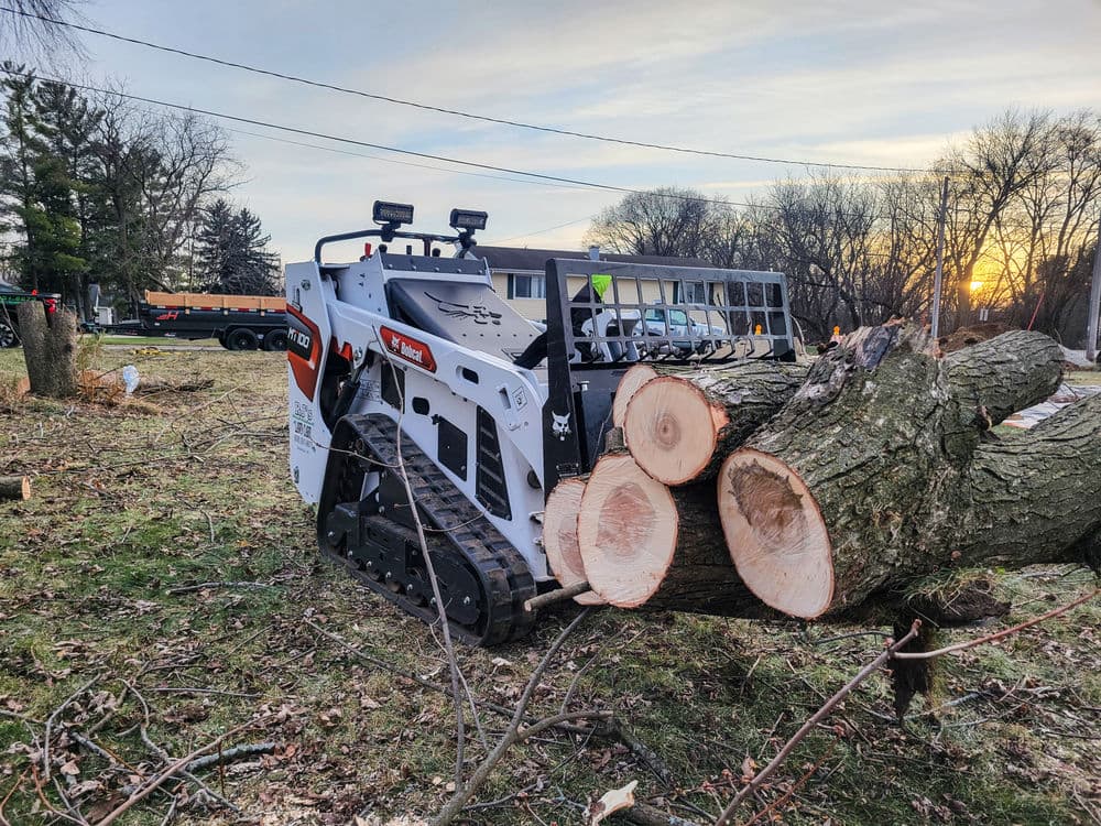 Compact skid steer loader moving felled tree logs at a residential property during sunset.