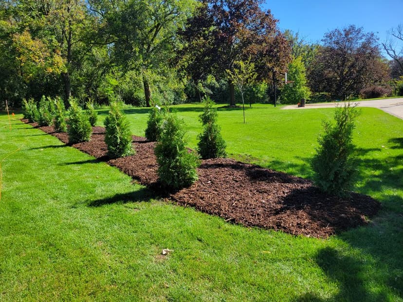 Award-Winning Lawn Care's image