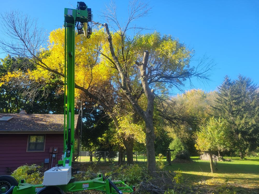 Tree trimming equipment next to a large tree in autumn foliage by a residential home.