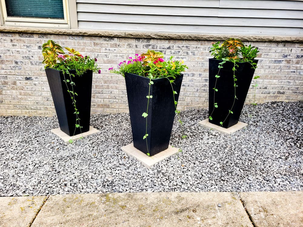 Black planters with colorful flowers and trailing vines on gravel in front of a textured wall.
