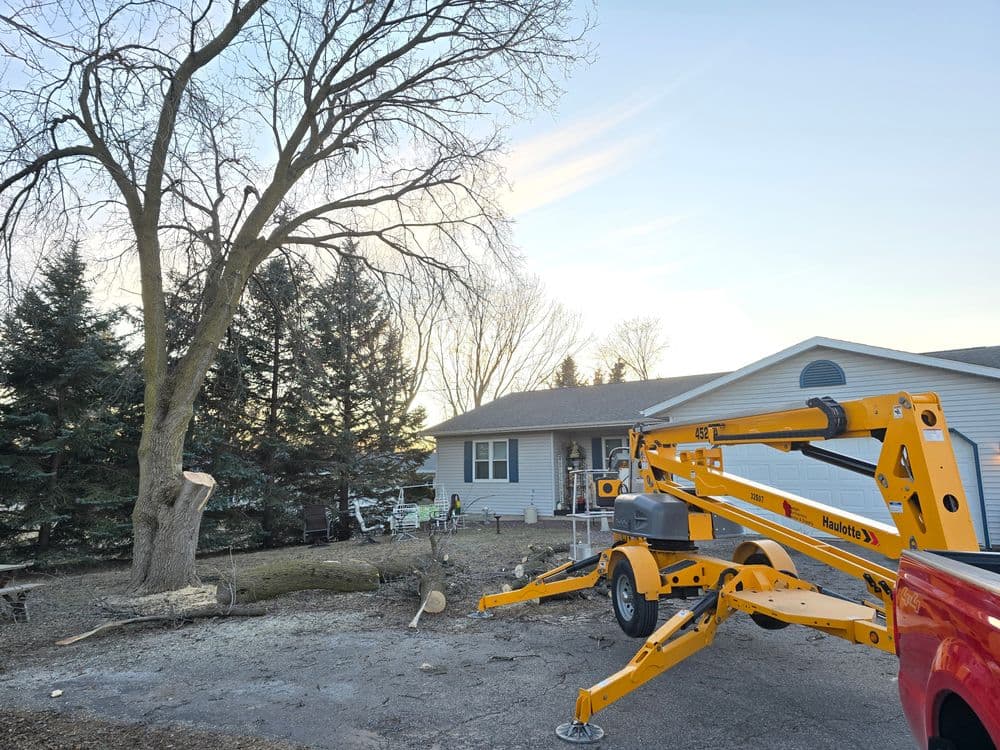 Tree removal service with equipment parked near a house and felled branches on the ground.