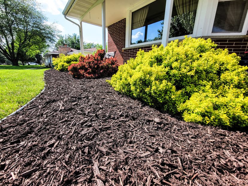 Environmentally Friendly Practices's image