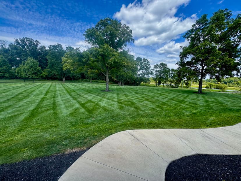 Award-Winning Lawn Care's image