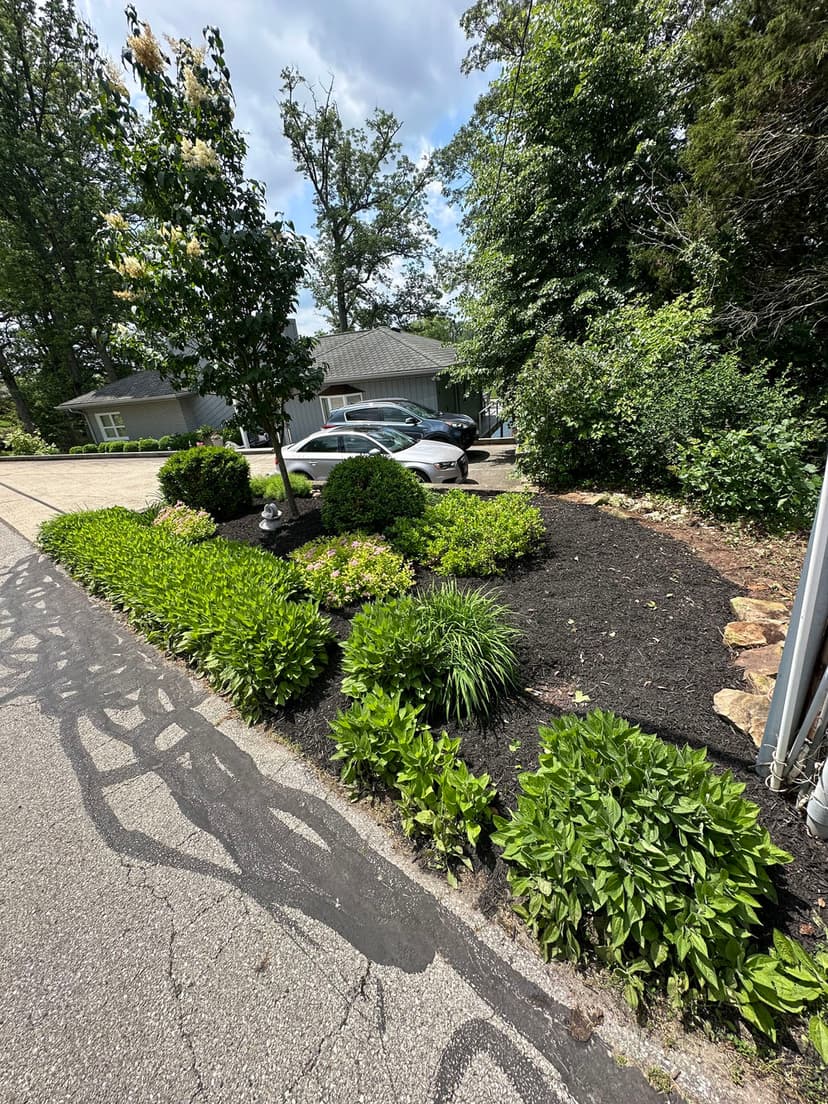 Environmentally Friendly Practices's image