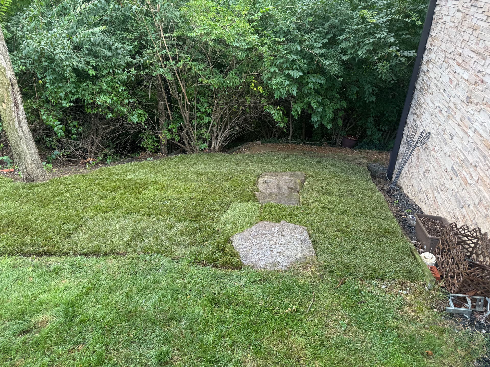 Gallery photos for Weed-Choked Backyard Gets a Full Fescue Sod Reset: Image #3