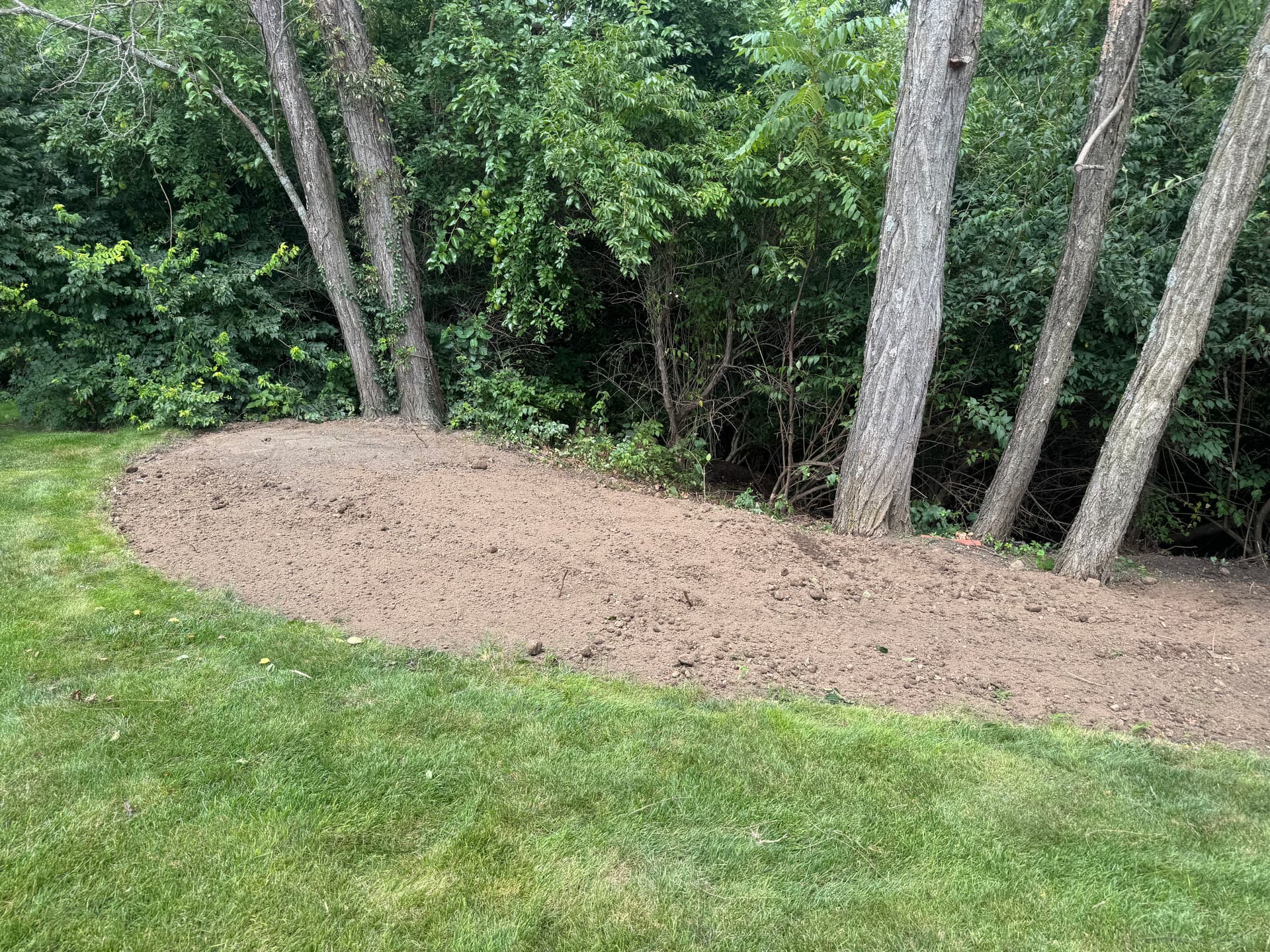 Gallery photos for Weed-Choked Backyard Gets a Full Fescue Sod Reset: Image #1