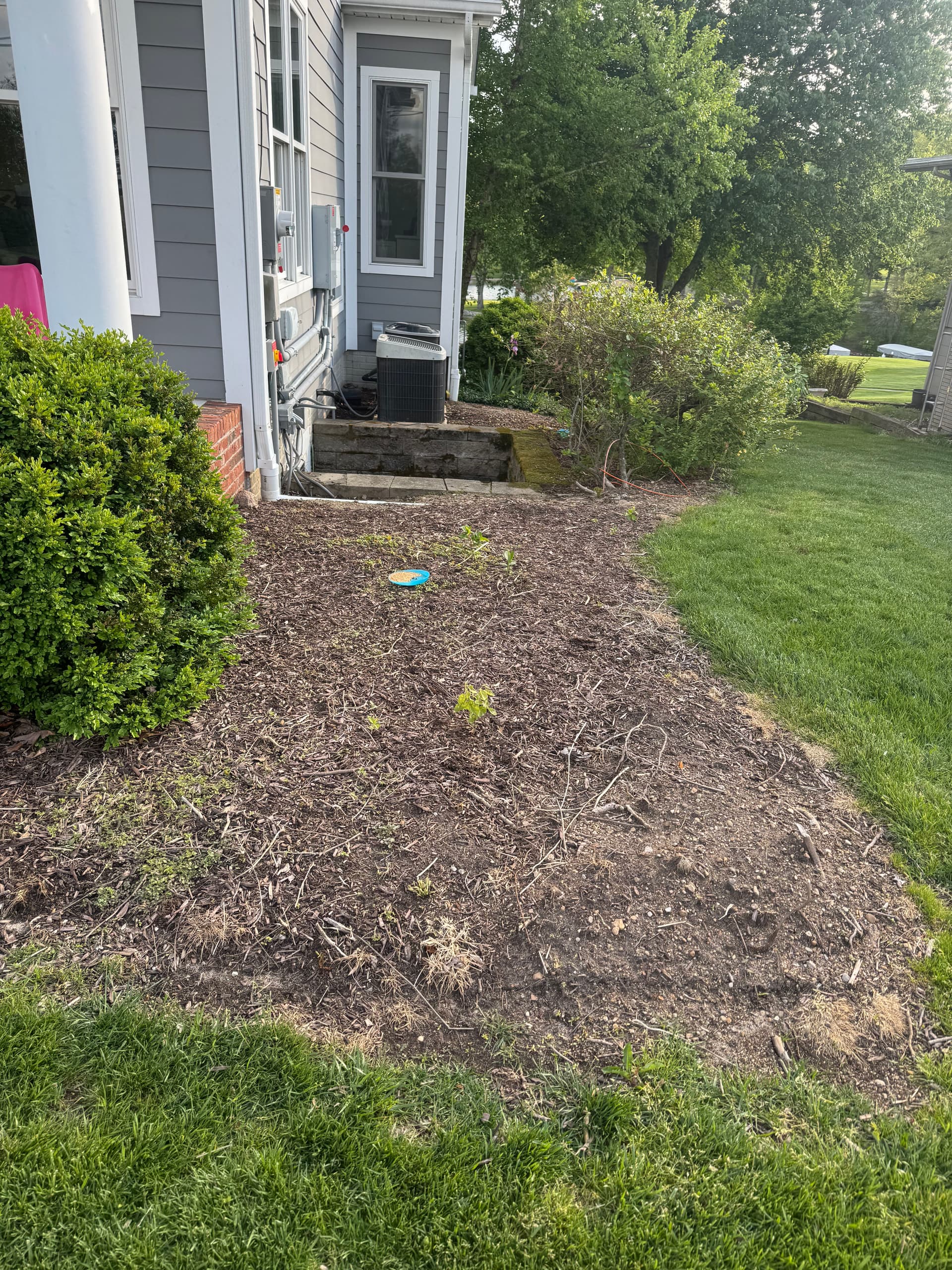 Gallery photos for Retaining Wall Drainage Fix and Full Yard Cleanup: Image #6