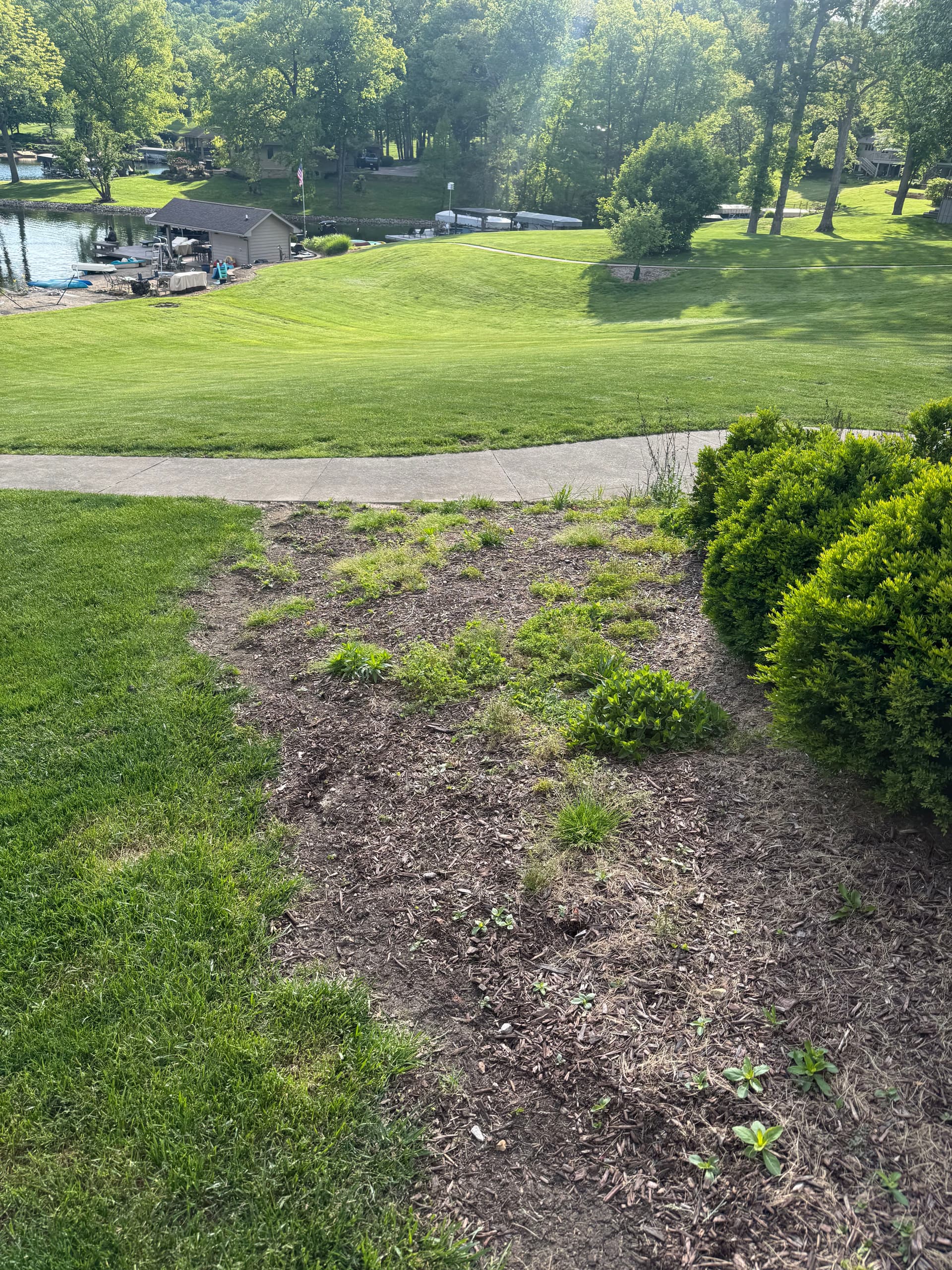 Gallery photos for Retaining Wall Drainage Fix and Full Yard Cleanup: Image #8
