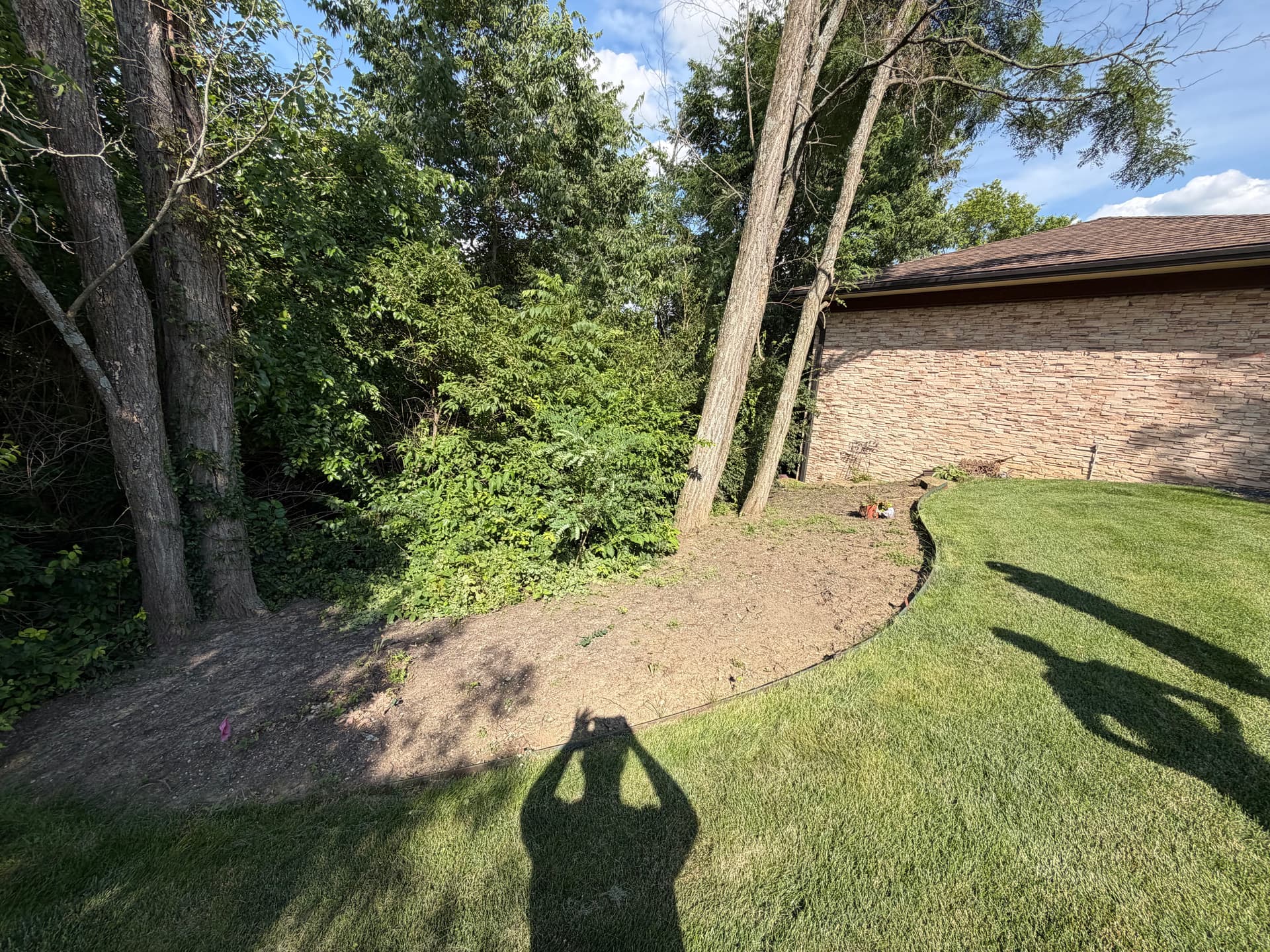 Weed-Choked Backyard Gets a Full Fescue Sod Reset image