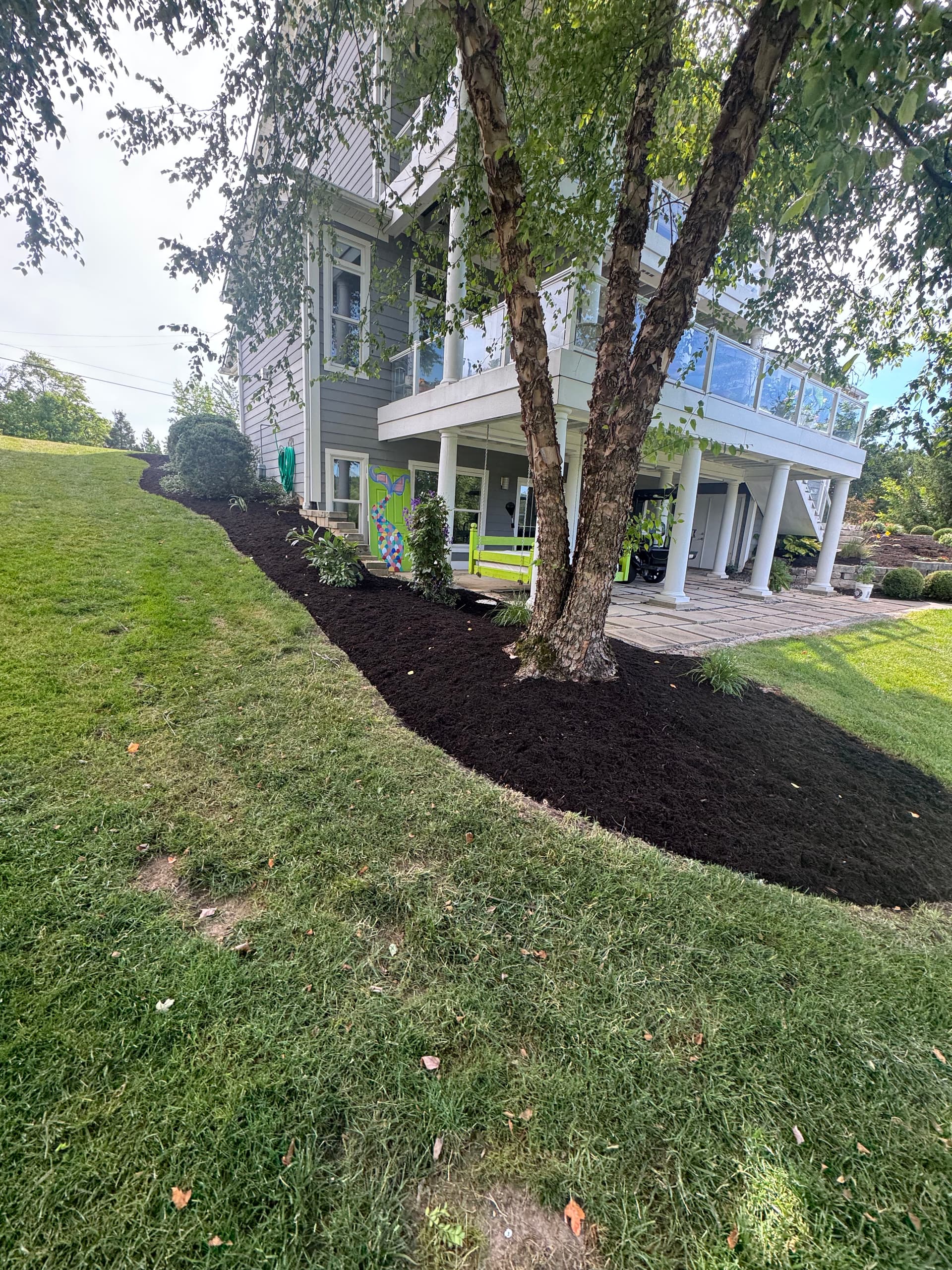 Gallery photos for Retaining Wall Drainage Fix and Full Yard Cleanup: Image #5