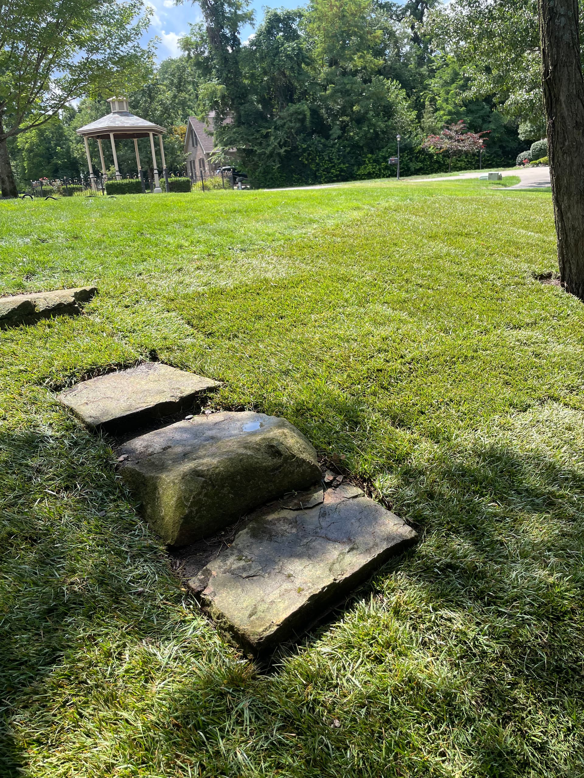Gallery photos for Weed-Choked Backyard Gets a Full Fescue Sod Reset: Image #4