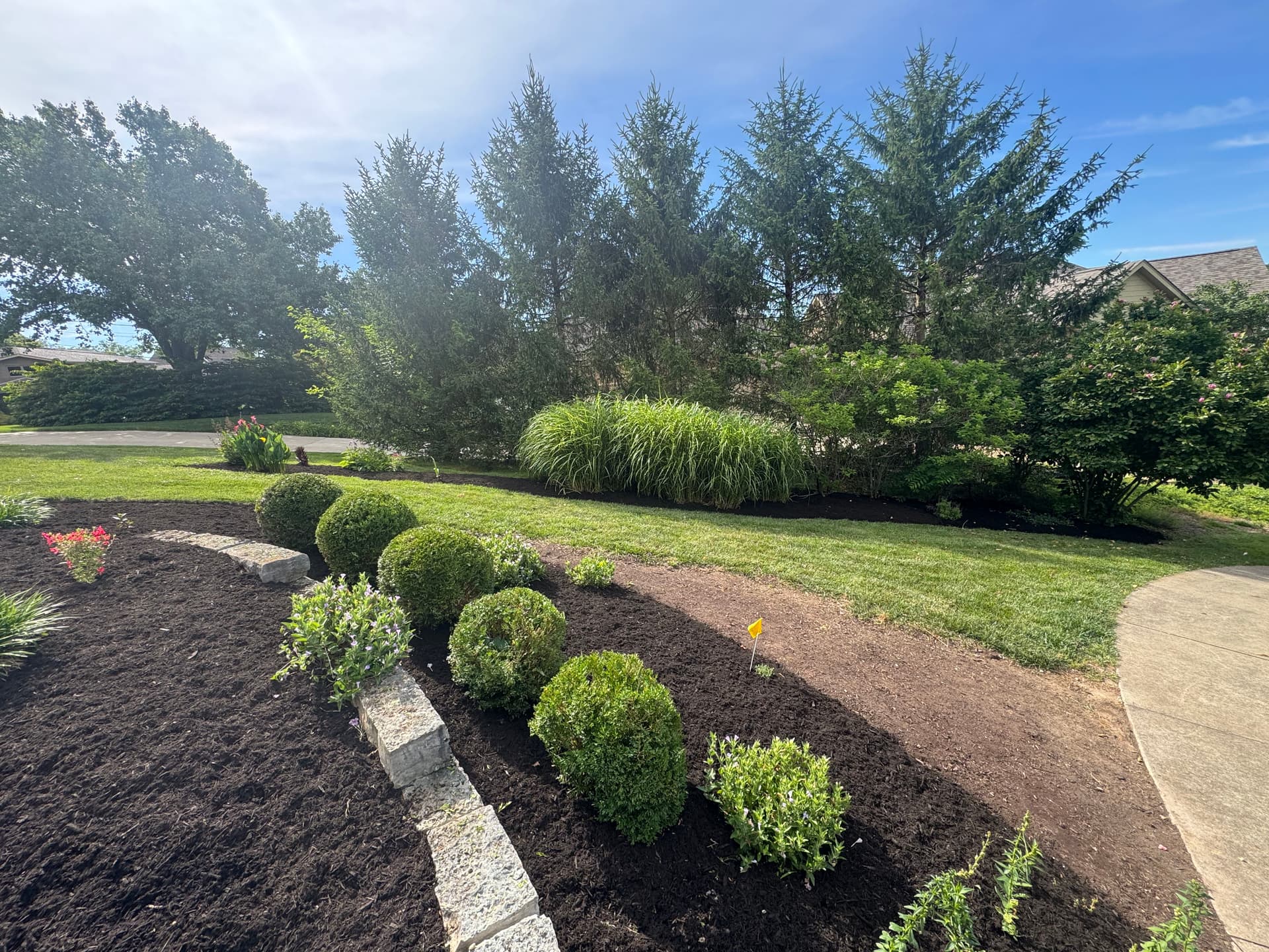 Gallery photos for Retaining Wall Drainage Fix and Full Yard Cleanup: Image #3